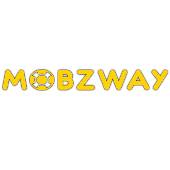 Mobzway Technologies Mobzway